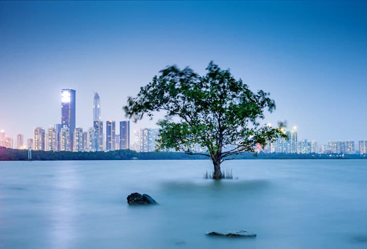 China’s rise to AI dominance: from threat to opportunity