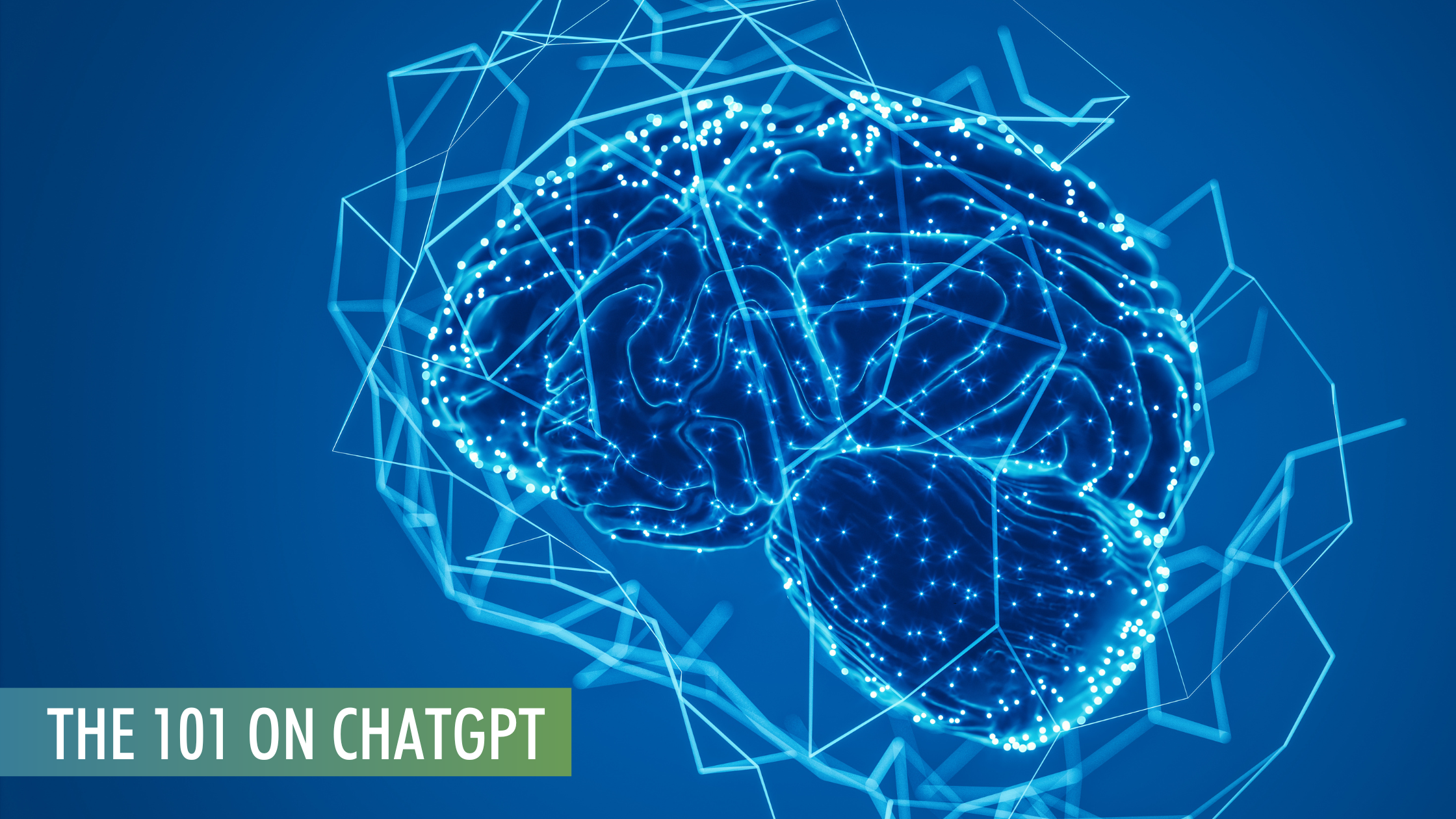 The Investor's Guide to ChatGPT