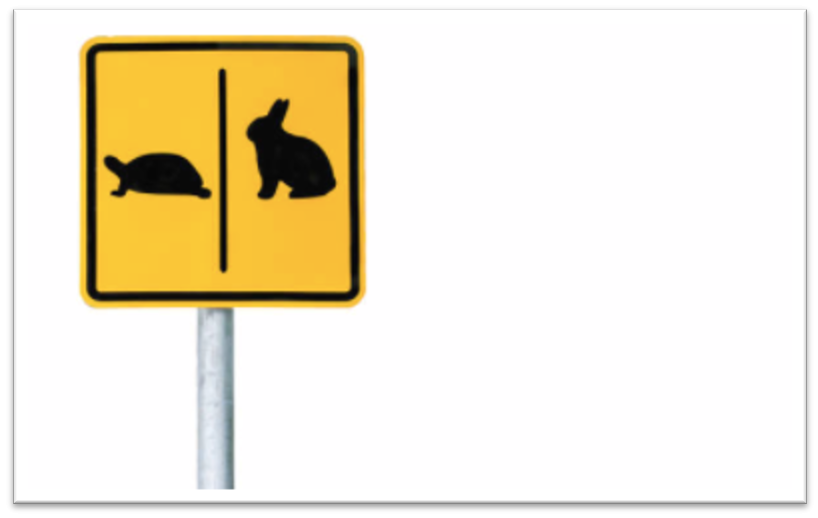 Ambarella: A case for a ‘boring’ investment strategy